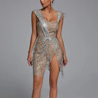 Glitter Mesh Mini Dress