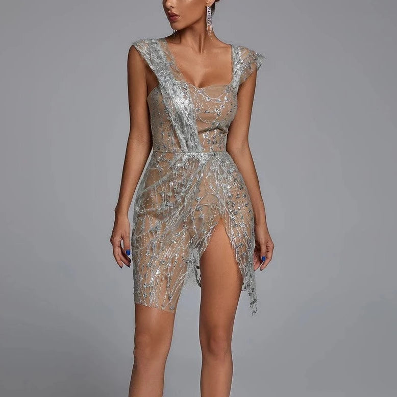 Glitter Mesh Mini Dress