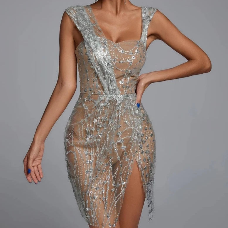 Glitter Mesh Mini Dress