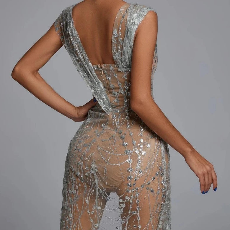 Glitter Mesh Mini Dress