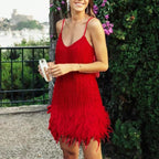 Tassel Sequined Feather Mini Dress